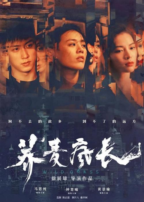 定制高仿意大利身份证